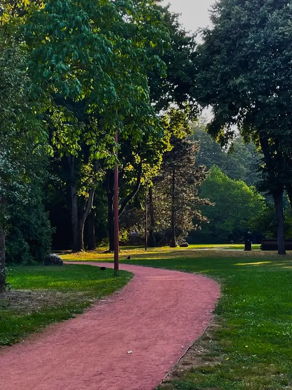 Žmogus ramiai vaikšto žaliu parko taku